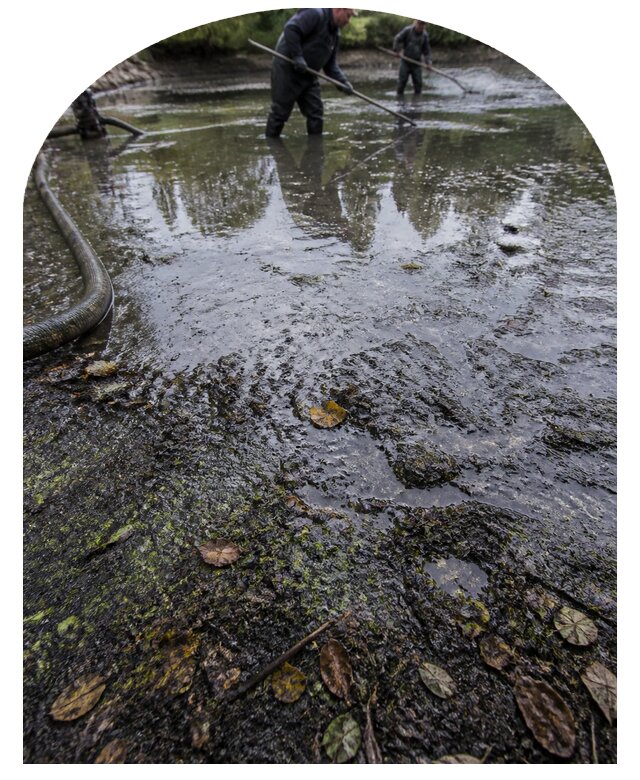 Очистка пруда в Сердобске от ила мусора и водорослей с вывозом
